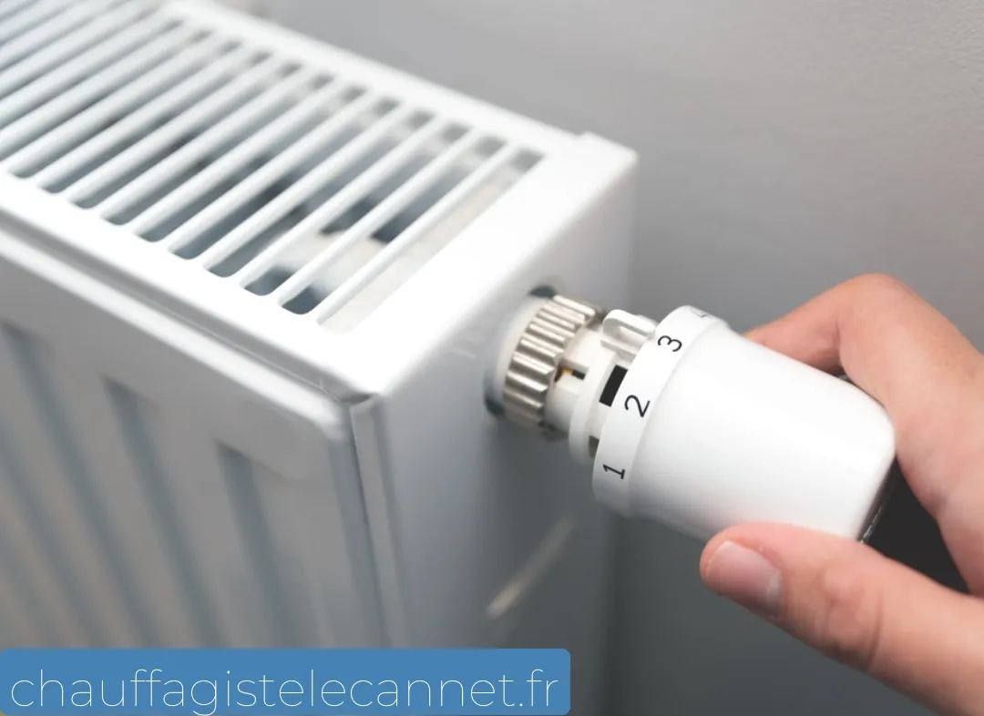 Remplacement de Thermostat Le Cannet